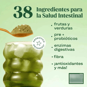 Greens Sabor Fresa Kiwi- 25 Porciones